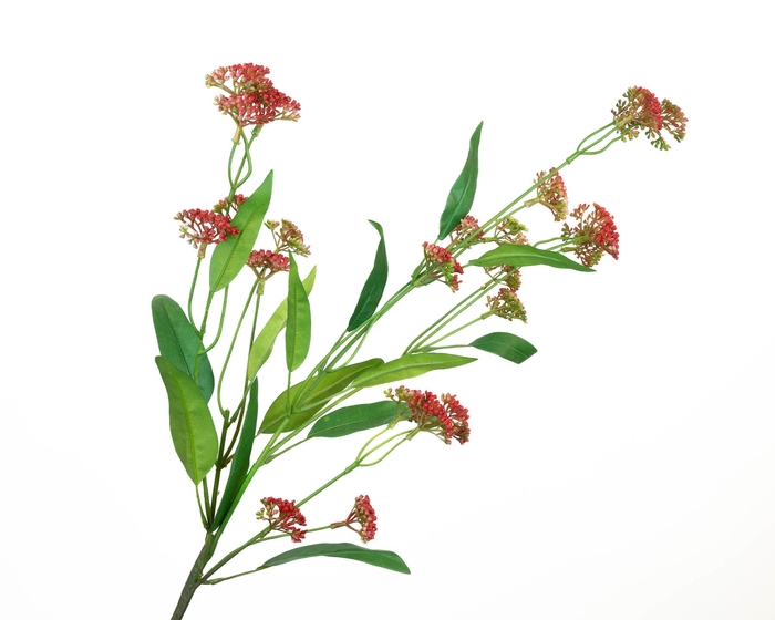 <h4>Berry Branch Red</h4>