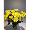 Chr Spray Yellow  Pina Colada Yellow