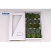 Echeveria Green Mix (wincx) Cutfl (5 Spcs) Wincx-10cm