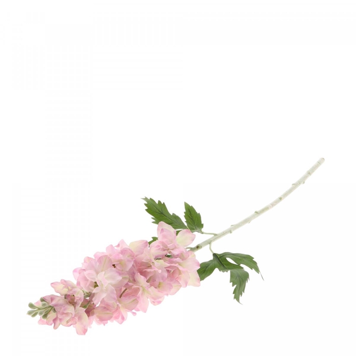 <h4>Swallow Grass 60cm</h4>