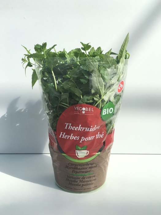 <h4>Theekruiden P12</h4>