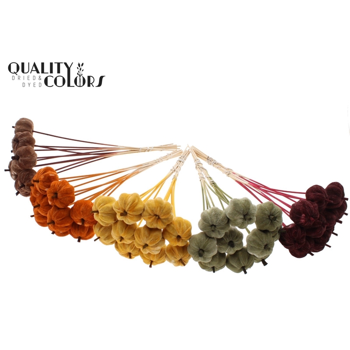 <h4>Velvet Pumpkin Ø6cm on stem Pumpkin Mix</h4>