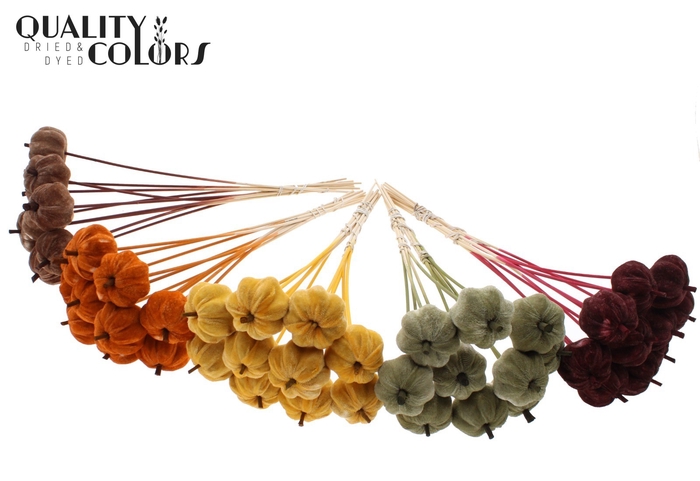 Velvet Pumpkin Ø6cm on stem Pumpkin Mix