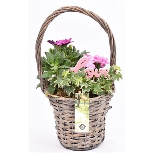 Wilg hengselmand gy 17cm