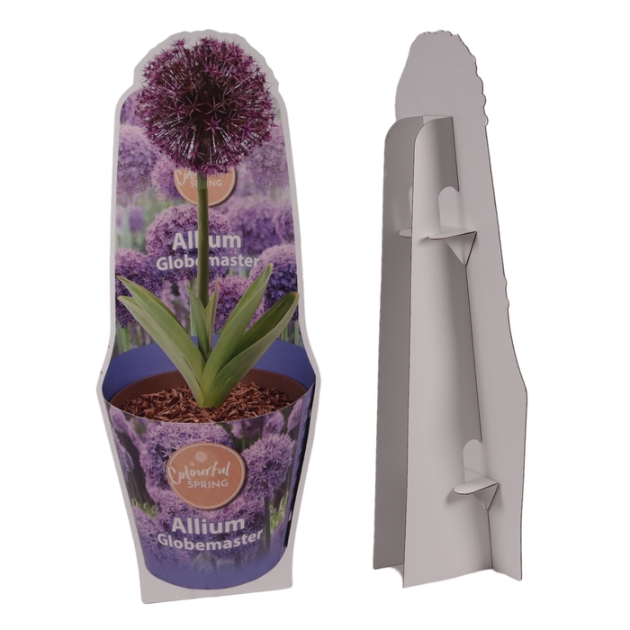 <h4>Allium Cardboard Advertising Sign (H100cm)</h4>