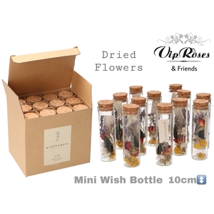DRIED MINI WISH BOTTLE