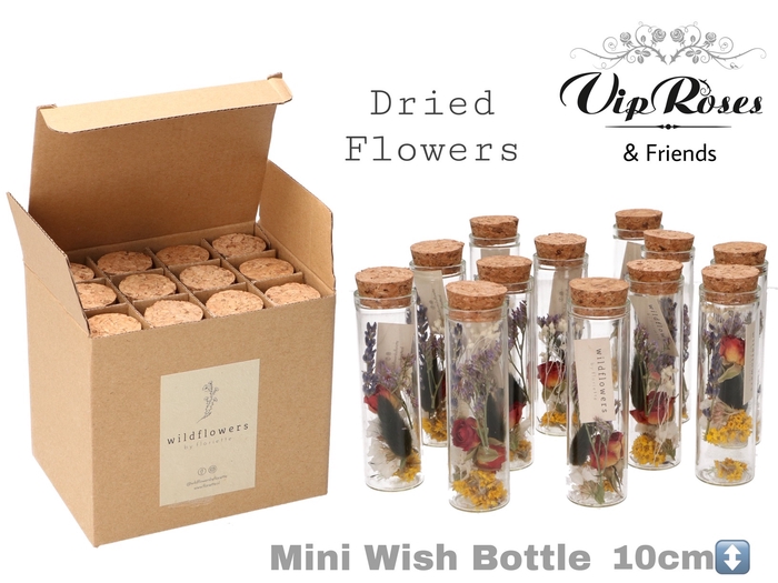 DRIED MINI WISH BOTTLE