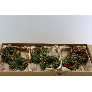 Wr Sierfruit Juiperus Arbutus Mix 20cm