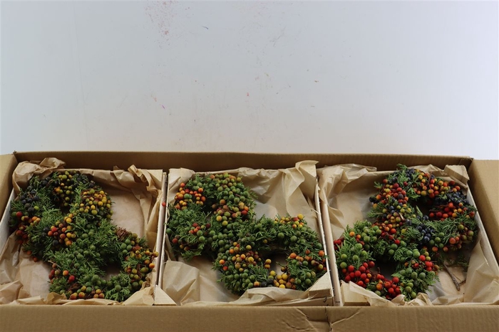 <h4>Wr Sierfruit Juniperus Arbutus Mix 20cm</h4>
