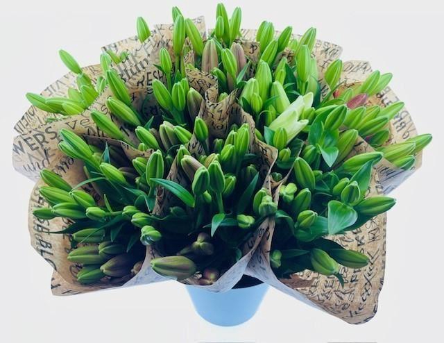 Snijbloemen   .../bos
