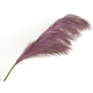 Af Pampas 130cm Purple