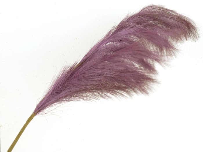 <h4>Af Pampas 130cm Purple</h4>