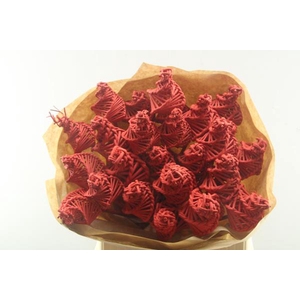 Droog Lata Wokkel Rood X25