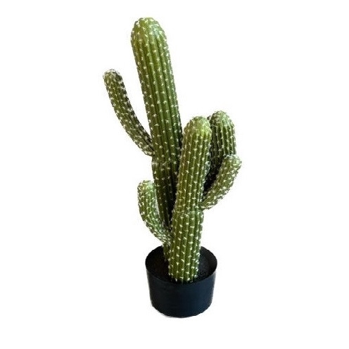 Kunstplanten Pot Cactus d35*83cm