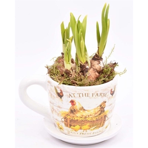 Keramiek K&S Farm 9/12cm