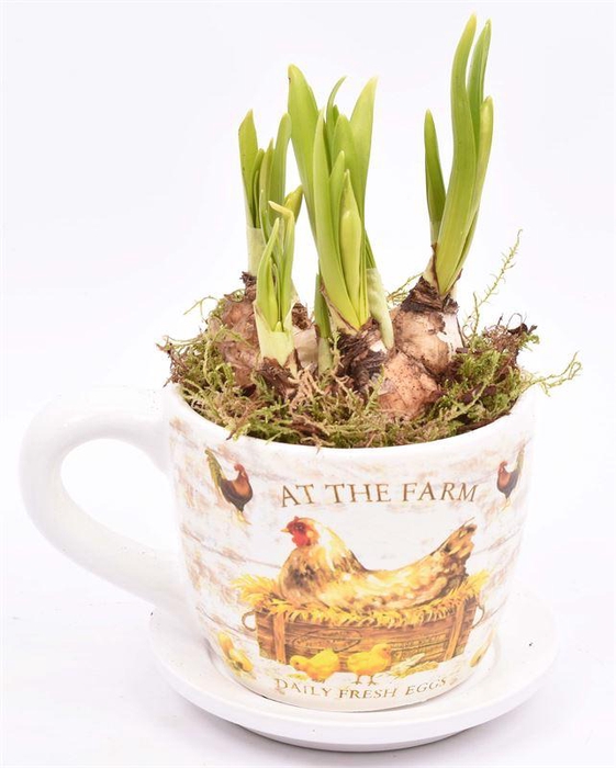 <h4>Keramiek K&S Farm 9/12cm</h4>