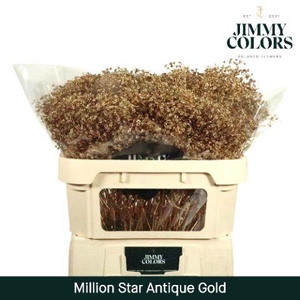Gyps Million Star L70 Metallic Antique Gold