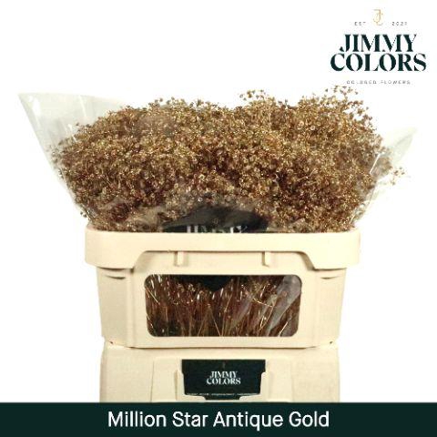 <h4>Gyps Million Star L70 Metallic Antique Gold</h4>