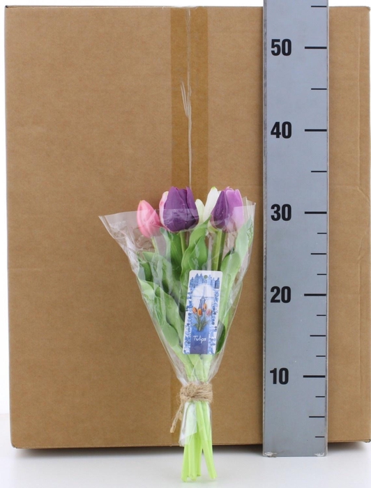 <h4>HUIS EN TUINDECO H%</h4>