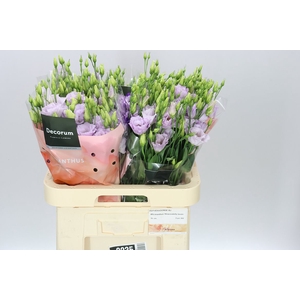 Eust Du Stracciatella Lavendel