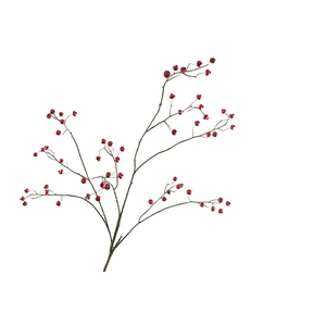 Berry Spray Red