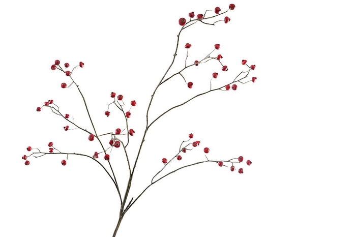 <h4>Berry Spray Red</h4>