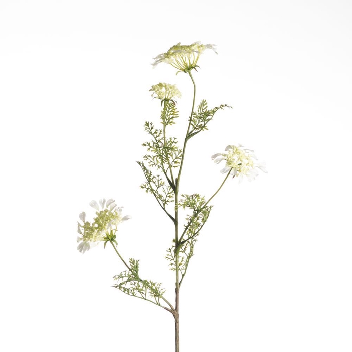 <h4>AF Daucus Carota L96cm White</h4>