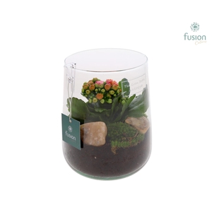 Green Bottle Deline Medium met arrangement