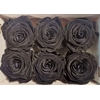 Ro Pres Classic Black