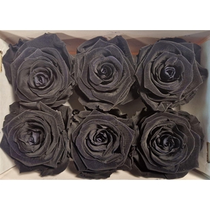 Ro Pres Classic Black