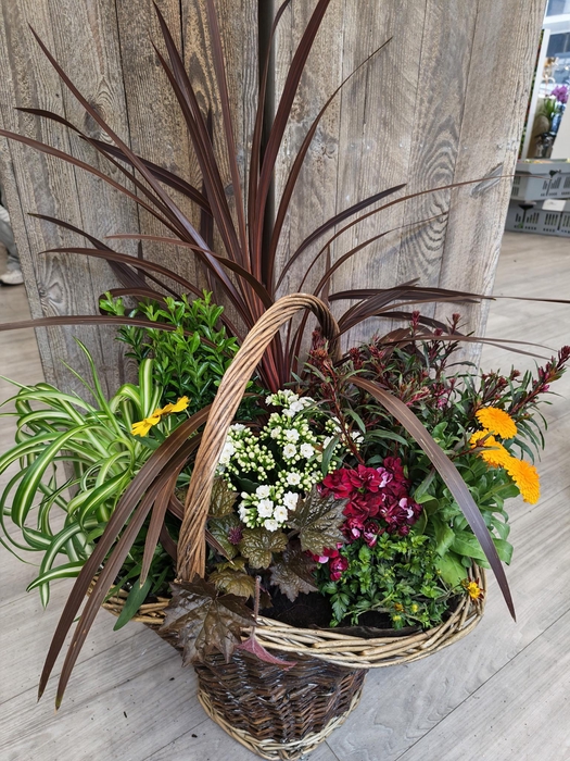 <h4>Panier extérieur 12</h4>