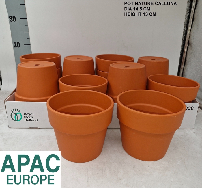 <h4>KERAMISCHE POT H%</h4>
