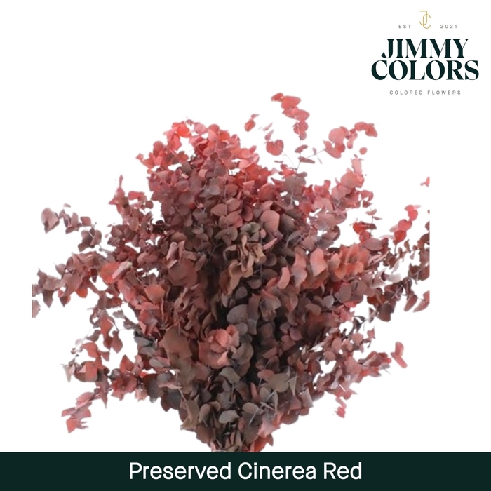 <h4>Preserved Cinerea Red</h4>