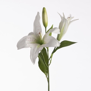 Af Lilium Orien X3 73cm White