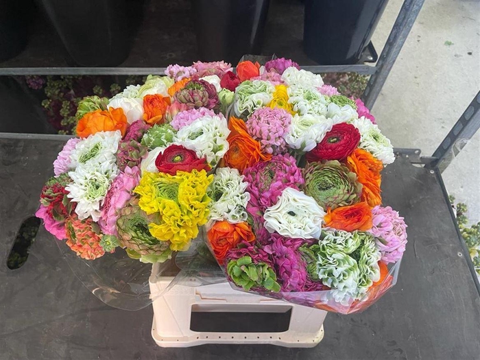 <h4>Ran Pon-pon Mix</h4>