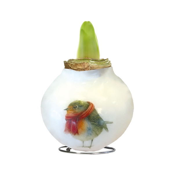 <h4>Amaryllis Touch of Wax Porcelain Robin 6x1, rode bloem, Tray408</h4>
