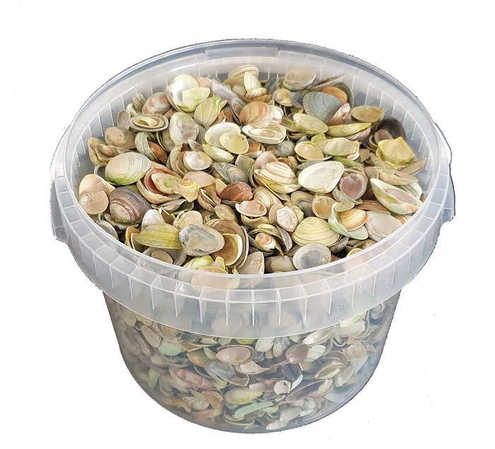 Shells north sea 3 ltr Light Green