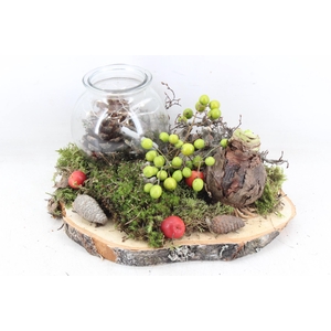 arr4 Amaryllis MB - Hout schijf 1wax led RD