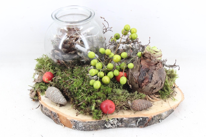 <h4>arr4 Amaryllis MB - Hout schijf 1wax led RD</h4>