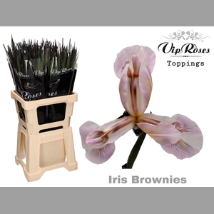 IRIS BROWNIES