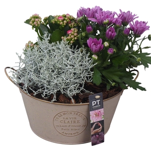 Arr.   Tuinplanten L%