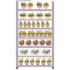 Mix CC Pasen Outdoor