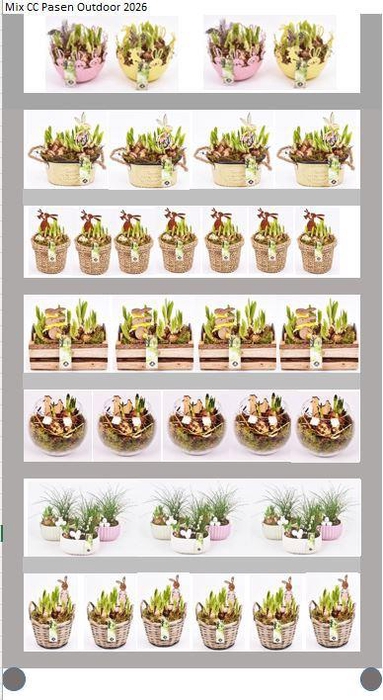 <h4>Mix CC Pasen Outdoor</h4>
