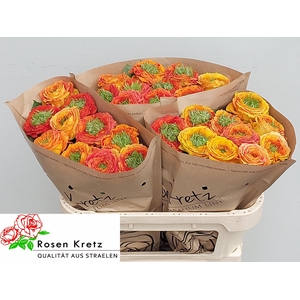 R GR GR ISLAND SAMOA