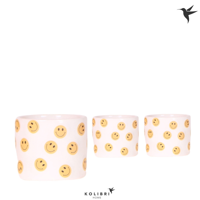 <h4>Kolibri Home Smiley pot</h4>