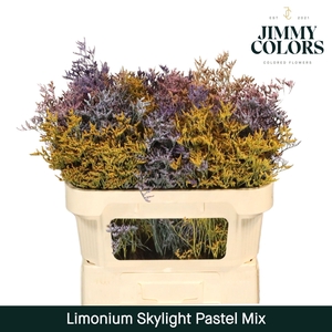 Lim Skylight L70 Pastel mix