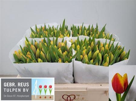 <h4>Tu En Dow Jones</h4>