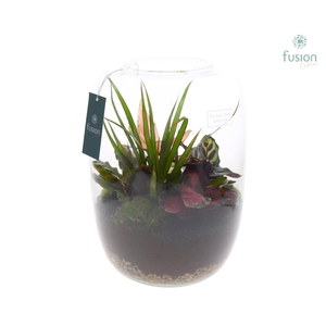 Green Bottle Isabella XLarge met Groen planten