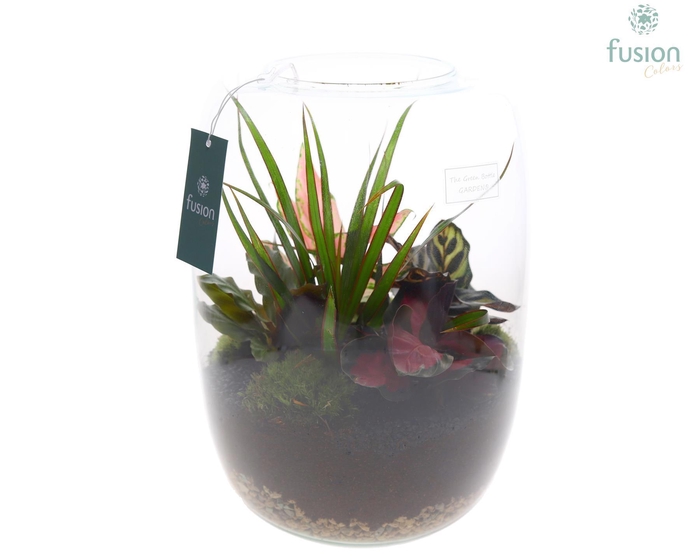 <h4>Green Bottle Isabella XLarge met Groen planten</h4>