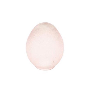 Egg Glace Rnd H10d7.5